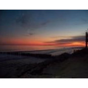 Kevin Shutts foto