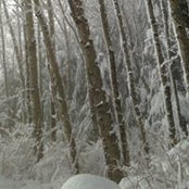 Karen Pearson's photo