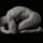 ryan_caley