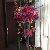 Merlyn Kindangen's photo