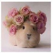 Katia Tryfonova's photo