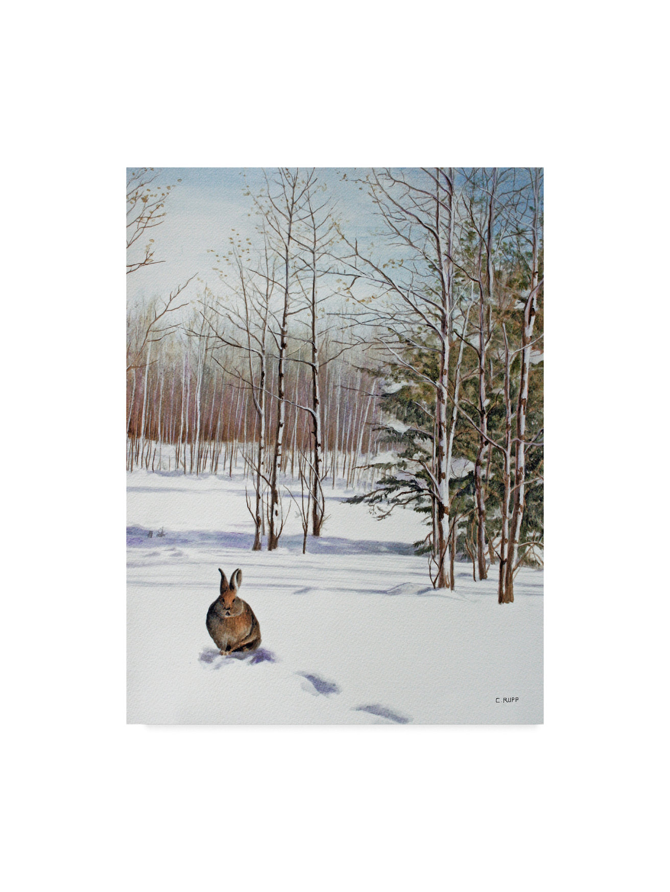 Carol J Rupp 'Winter Rabbit' Canvas Art, 18