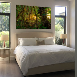 Aaron Chang Fine Art: Bedroom - Haena Jungle - Photographs