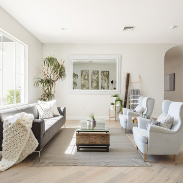 Contemporary Living Room