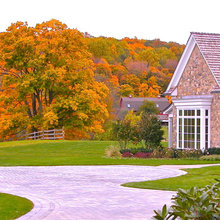 Landscape Ideas