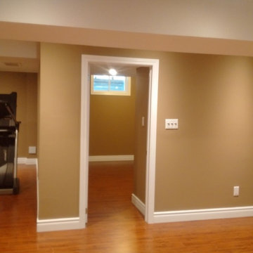 Basement Remodel