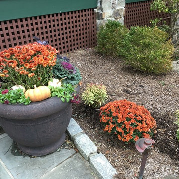 Seasonal Containers
