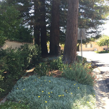 Redwood Garden & Lawn Replacement
