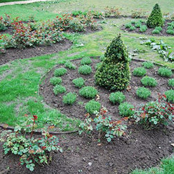 Everedge Lawn Edging - Outdoor Products