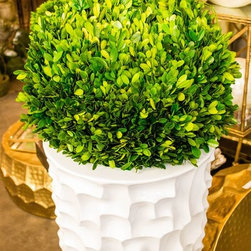 Boutique + Garden Center - Home Decor