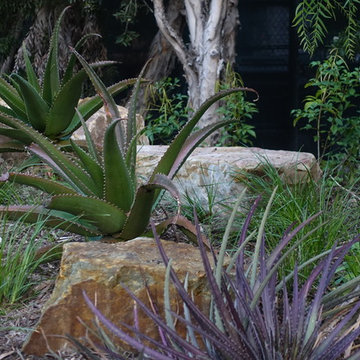 Anaheim Water Conservation