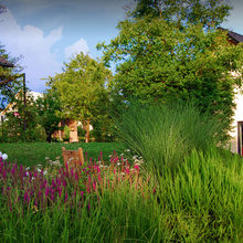 Landscape Ideas