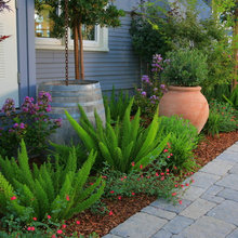 front yard lanscape