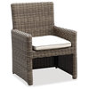 Wicker Outdoor Dining Chair w/ Cushion| Hampton Collection