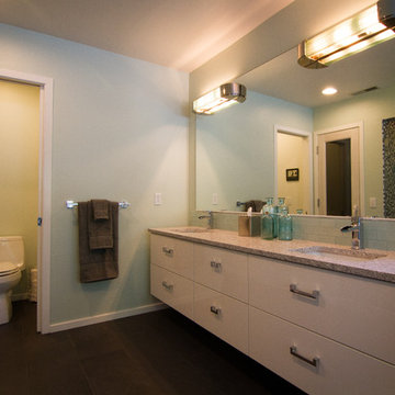 Arlington Heights Bathroom Remodel