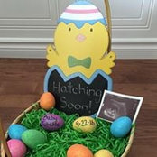 Amy Beauchamp's photo