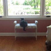Paula Wyrick's photo