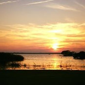Lauri Trexler's photo