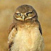 Melanie Parsons's photo