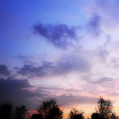 Emily Ho's photo