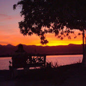 Frank Smith's photo