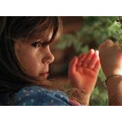 Sharon Doneheys foto
