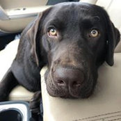 Foto de Sara Boye