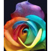Joie Ashlyn's photo