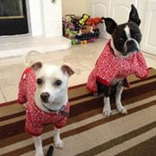Michele Stankowski's photo
