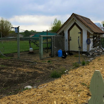 Four Corners property with pond -- chickens and ducks included!