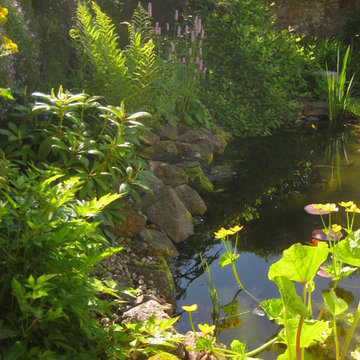 Planting around the new pond