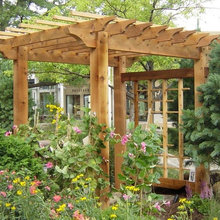arbor