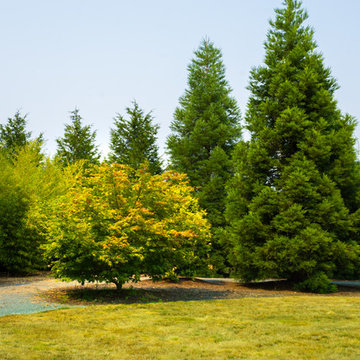 15118 Deception Road
