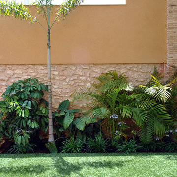 El jardín de José Vicente. Diseño de jardín tropical.