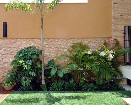 El jardÃn de josé vicente. diseño de jardÃn tropical. Diseño Tropical Jardín