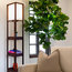 Brightech Maxwell Drawer Edition - Shelf & LED Floor Lamp Combination, Havana Br