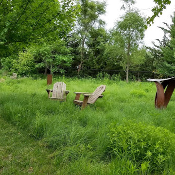 Suburban Backyard Meadow
