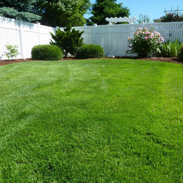 Lawn care service