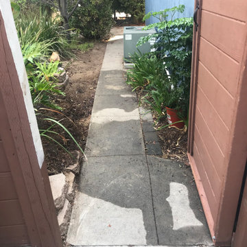 Curved Garden Pathway & Landscape Transformation