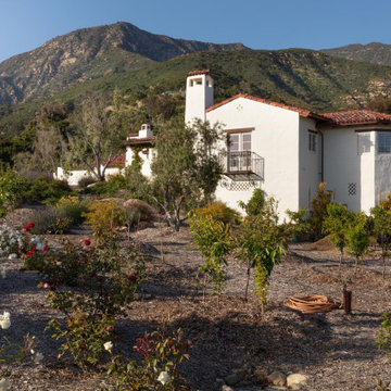 Montecito Phoenix rise from the ashes