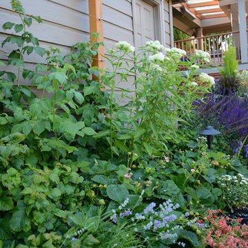 Raised Vegetable / Ornamental Garden 2015