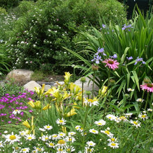 Lake Landscaping