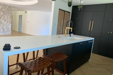 Inspiration for a kitchen remodel in Other