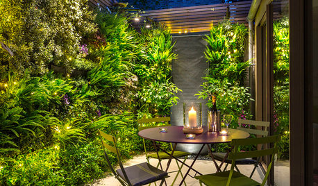 Everything You Need to Know About Garden Lighting