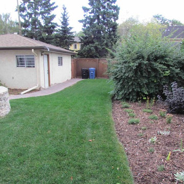 Landscape design and full renovation.