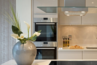 Inspiration for a kitchen remodel in San Diego