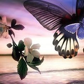 Selina Gross's photo