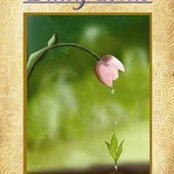 Marva Todd's photo