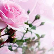 Canan Vural's photo