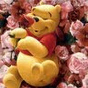 AnnaMaria Seipel's photo